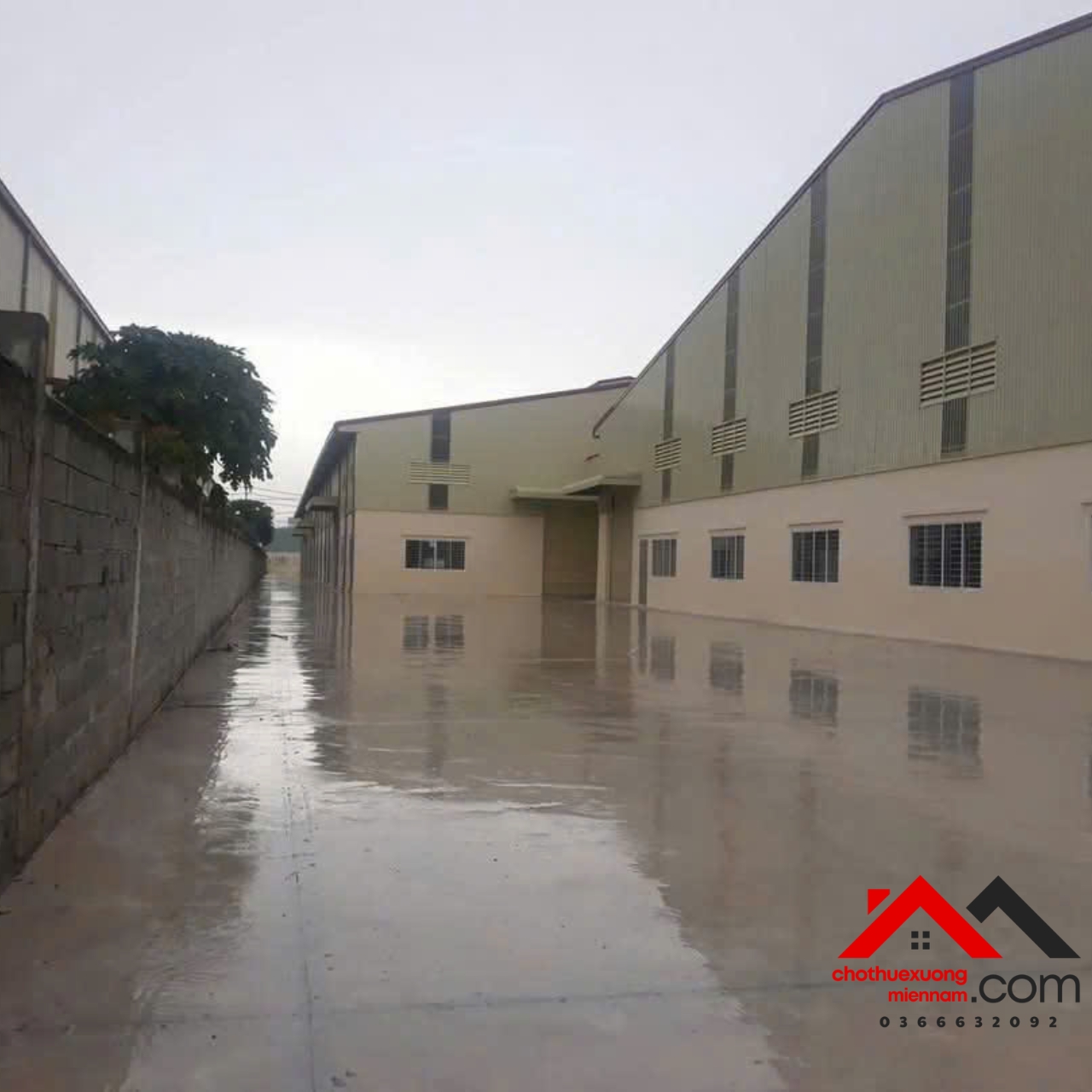Bán nhà xưởng KCN Đức Hòa, Long An – 20.000m², đã đóng tiền đất đến 2058, giá 155 tỷ - Ảnh 1